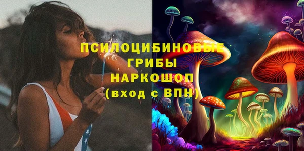 PSILOCYBIN Верхний Тагил