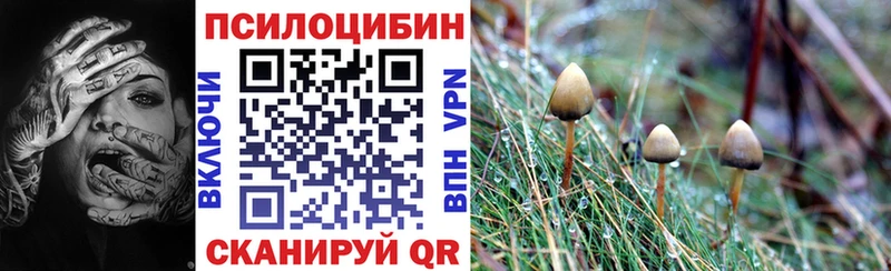 Галлюциногенные грибы Cubensis  Купить  Елец 